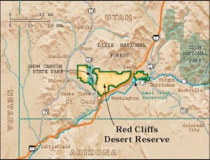 rcdr-inset-map