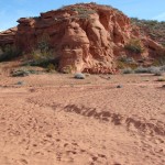Bone Wash - Elephant Arch junction