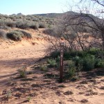 Bone Wash from Mill Ck