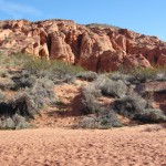 Bone Wash trail - 3