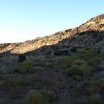 DSC01503