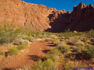 About 1/2 mile west of the step-over hikers drop off to the right to enter the main wash heading north into the canyon.