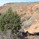 Lange's Dugway at Black Gulch