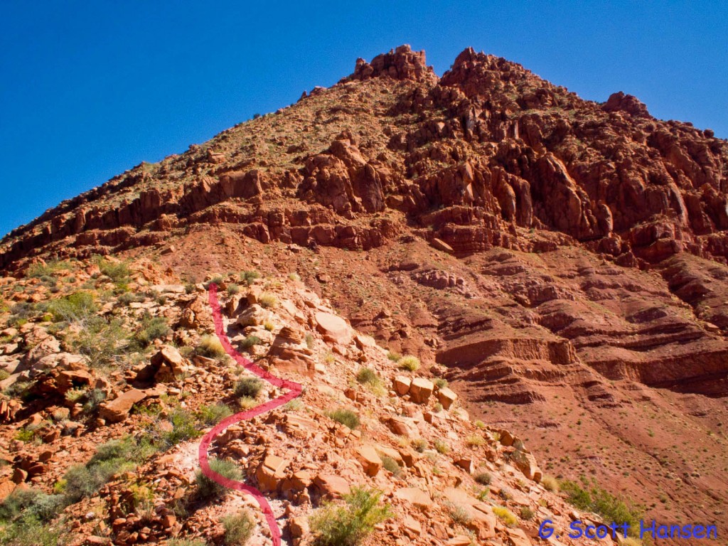 Red Cliffs Desert Reserve » 20