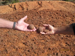 Unique sandstone "moki marbles" can be found in several places along the trail