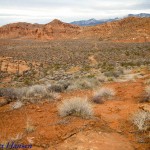 The trail continues across the desert scrub flatland to the north