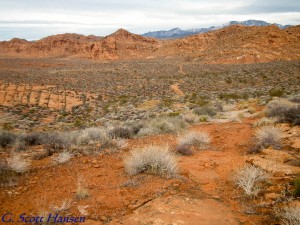The trail continues across the desert scrub flatland to the north