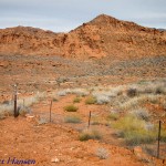 Trail presently ends at the Red Hills Parkway boundary fence