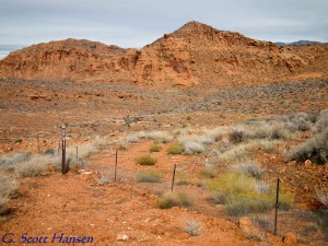 Trail presently ends at the Red Hills Parkway boundary fence