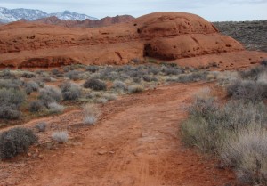 The loop is completed on a segment of the Prospector trail shown above