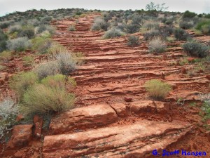 Connector trail from the Owen's Loop trail is rocky throughout most of its half-mile length