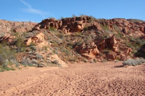 Bone Wash consists of soft, deep, sandy soils.