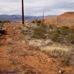 Portions of the trail follow a powerline access road