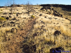 Single-track trail leads out of the trailhead towards the rim