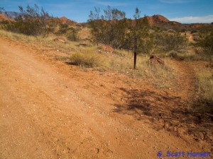 Bracken's Loop breaks off from the Grapevine trail and parallels the wash below