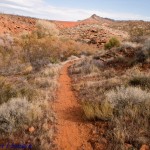 Trail becomes a dirt single track as it heads east towards City Creek