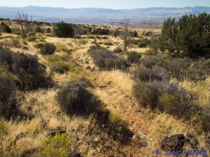 Typical trail is shown with a mixed substrate and vegetation