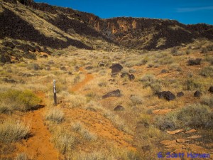 Trail initially consists of a single track trail above Grapevine Wash