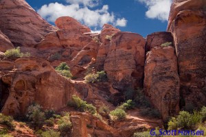 Elephant Arch high on cliff face from a distance.