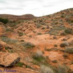 After crossing the creek the trail winds uphill back to the west