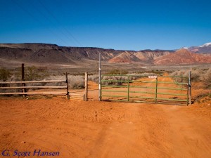 Trail begins at the Mill Creek Trailhead