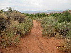 Portions of the trail are sandy, single track