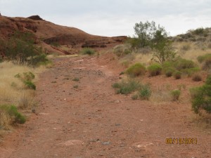 Initial segment is two track that provides access for city vehicles