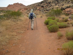 Hiker on trail