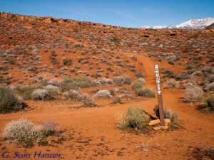 Junction of the Gap and Gecko trails, both of which serve as connectors to the Paradise Rim trail