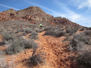 trail sidewinder leaving wash hill going web