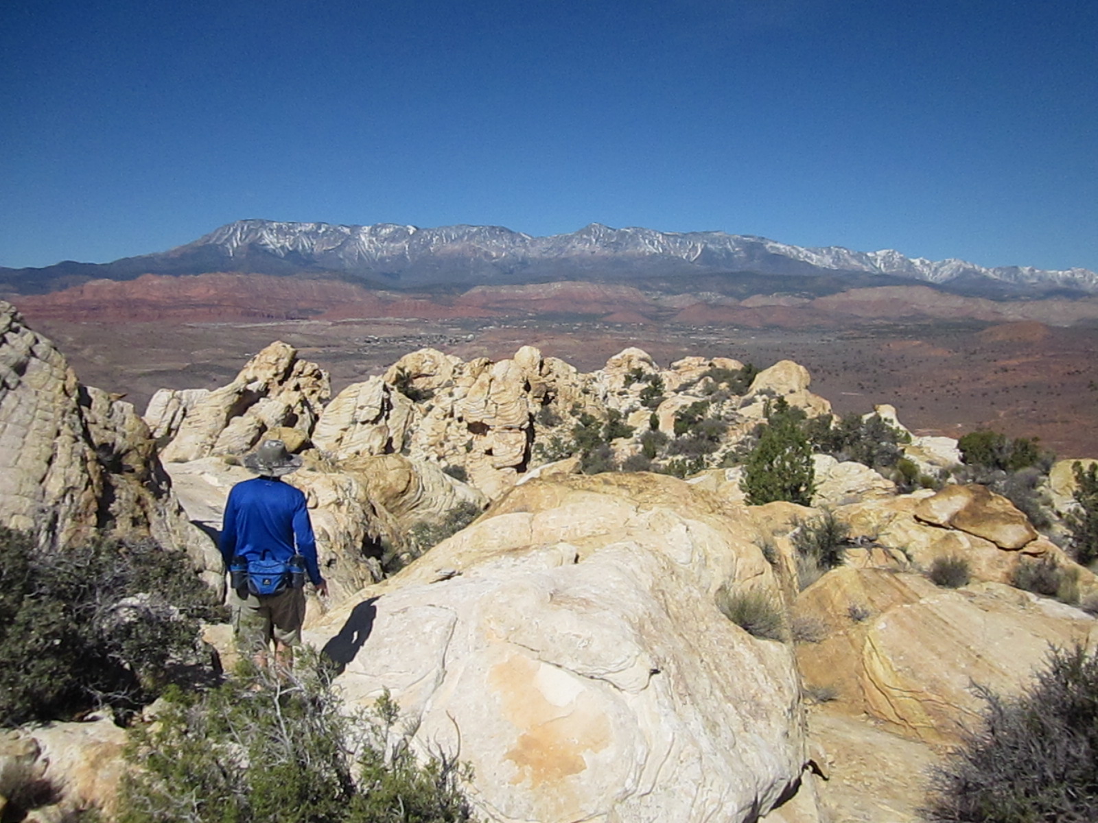 Red Cliffs Desert Reserve » Web #16 - Hiker enjoying the ...