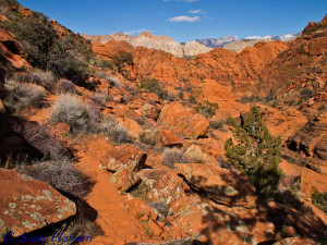 The trail leads through a maze of red sandstone formations with distant views into the white sandstone areas of Snow Canyon State Park.