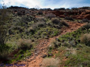 prospector segment uphill rocky web west