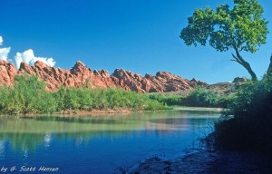 During the wet seasons, the river can run deep and wide and require discretion and preparation on the part of all visitors.