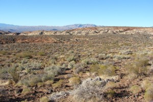 Views to the southwest from portions of the trail include this typical upland desert environment.