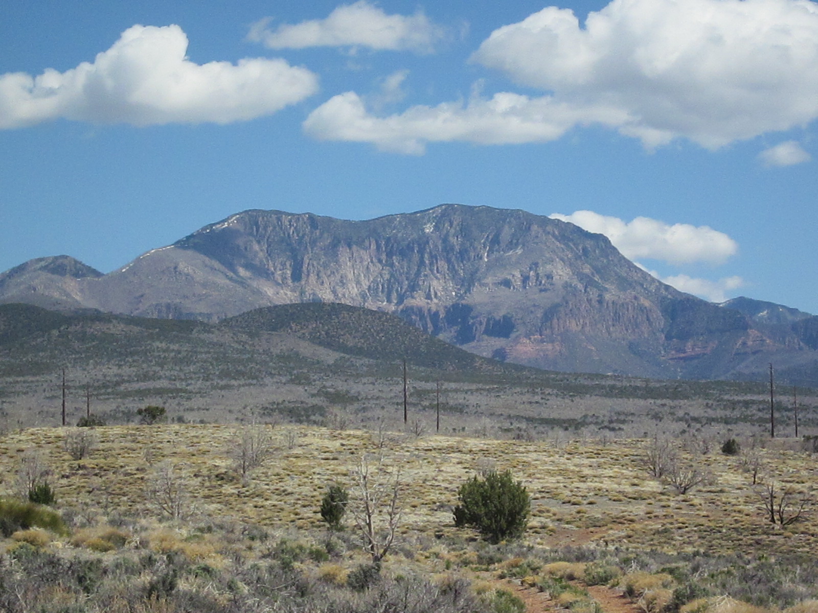 Red Cliffs Desert Reserve » Views of the beautiful Pine ...