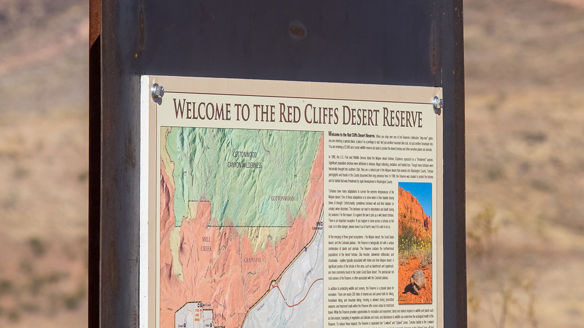 Zion National Park, Springdale, Utah